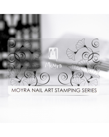 Moyra Scraper 11 transparent